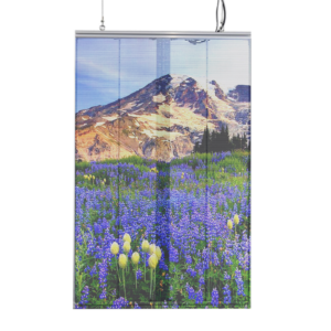 P3.91-7.82 Transparent LED Poster Screen 1000x1500mm Outdoor Waterproof LED Poster Display for window show Holographic LED transparent flexible film screen