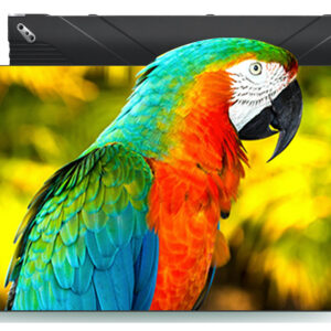 COB LED Display Screen Module Price P0.5 P0.6 P0.7 P0.9 P1.25 P1.56 P1.87 MIP Micro Mini 4in1 COB LED Screen 600x337.5x63mm